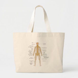 Bolsa Tote Grande Diagrama do sistema nervoso de corpo humano