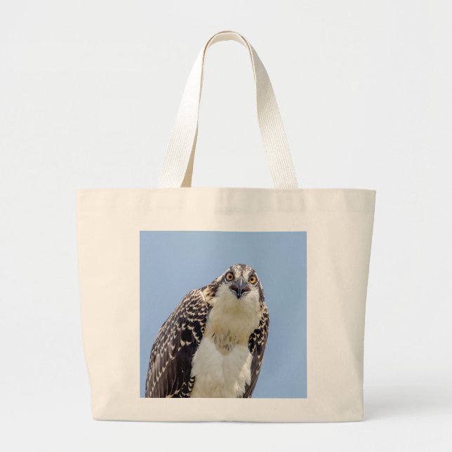 Bolsa Tote Grande Fechamento de um Osprey Juvenil (Frente)