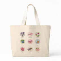 Flores da Nova Inglaterra