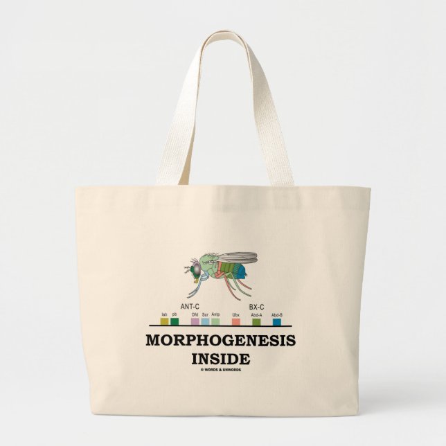 Bolsa Tote Grande Interior da morfogênese (genes da drosófila da (Frente)