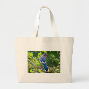 Bolsa Tote Grande Natureza Fotografia Shy Blue Jay Roupa presente