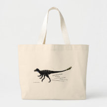 Saco do Dinossauro de Lâmpada