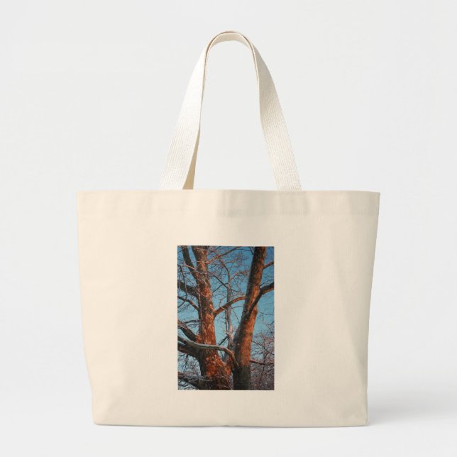 Bolsa Tote Grande Sycamore Sunrise (Frente)