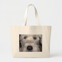 Terrier Wheaten brandamente revestido