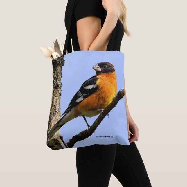 Bolsa Tote Grosbeak bonito de cabeça negra em uma árvore (Close Up)