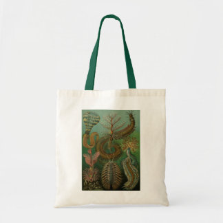 Bolsa Tote Haeckel