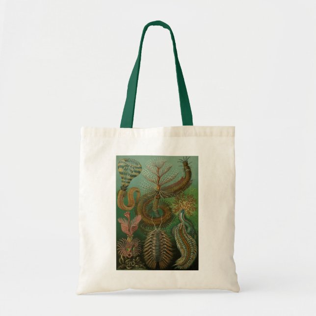 Bolsa Tote Haeckel (Frente)