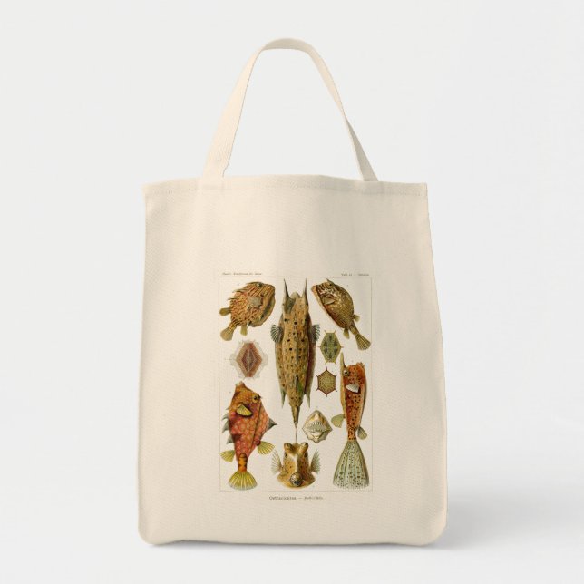 Bolsa Tote Haeckel Fish (Frente)