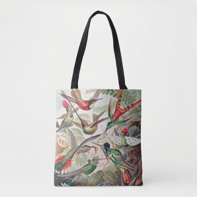 Bolsa Tote Hummingbird, Trochilidae Kolibris, por Ernst Haeck (Frente)