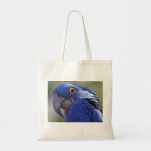 Bolsa Tote Hyacinth Macaw