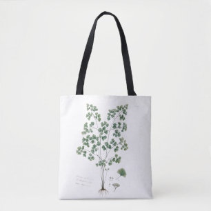 Bolsa Tote Ilustração Botânica de Samambaia-donzela Vintage