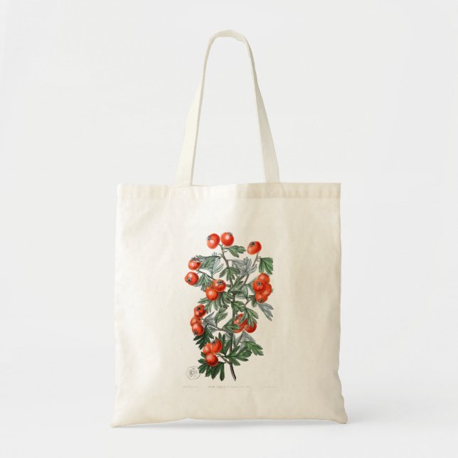 Bolsa Tote Ilustração Vintage Tomato Vine (Frente)