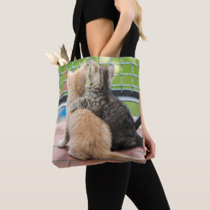 Bolsa Tote Imagens de Getty   dois gatinhos em um balcão