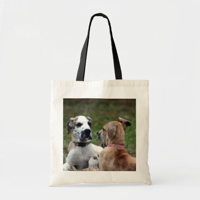 Bolsa Tote imbecil e jade 3 (Frente)
