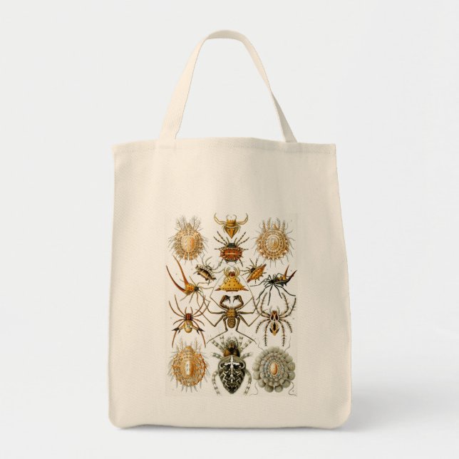 Bolsa Tote Insetos Haeckel (Frente)