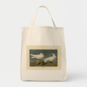 Bolsa Tote Ivory Gull - Aves da América de John James Audubon