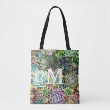 Jardim de Suculentos Coloridos