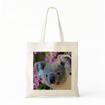 Koala e orquídeas