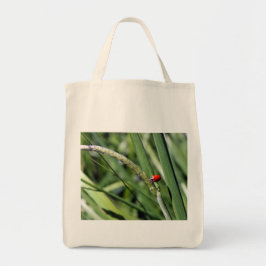 Bolsa Tote Ladybug (Coccinellidae) Tote Bag