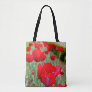 Bolsa Tote Lâmpadas Haupt, Fechamento