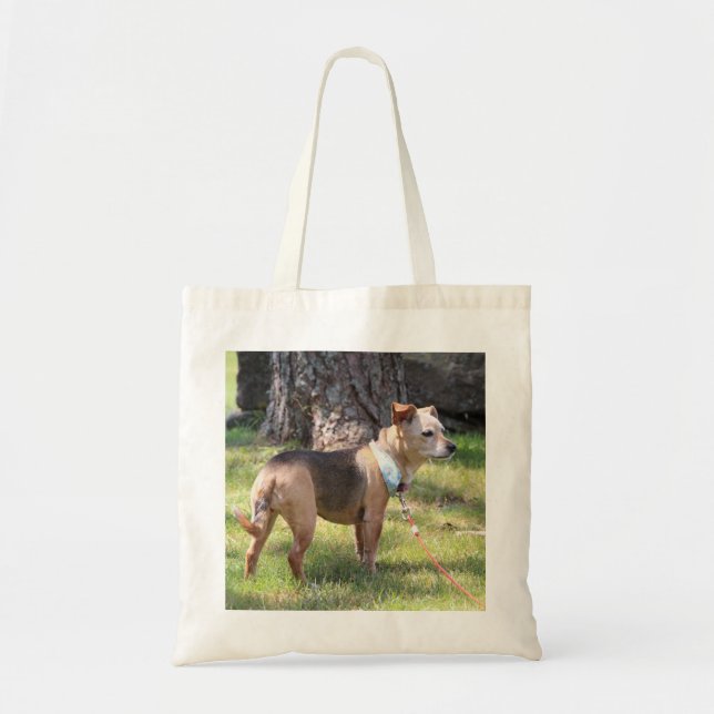 Bolsa Tote Lily (Frente)