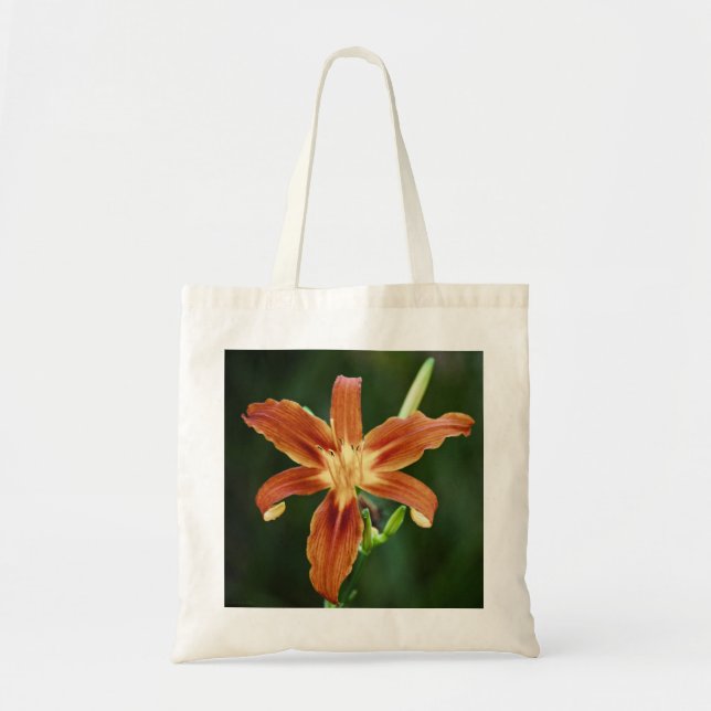 Bolsa Tote Lily P6588 Bag (Frente)