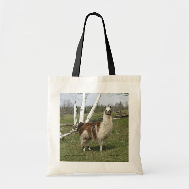 Bolsa Tote Llama Bag (Frente)