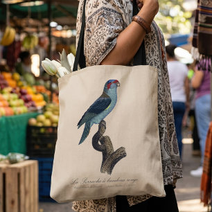 Bolsa Tote Loriqueito-azul, Trichoglossus concinnus