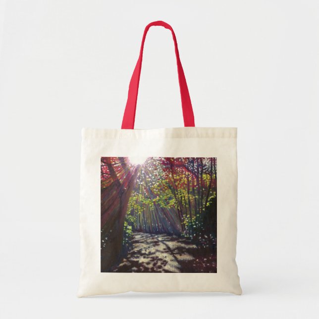 Bolsa Tote Luz dispersada 2013 (Frente)