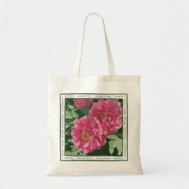 Bolsa Tote Magnífico e cor-de-rosa no saco de tote de canvas.
