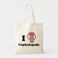 Mim cefalópode do calamar