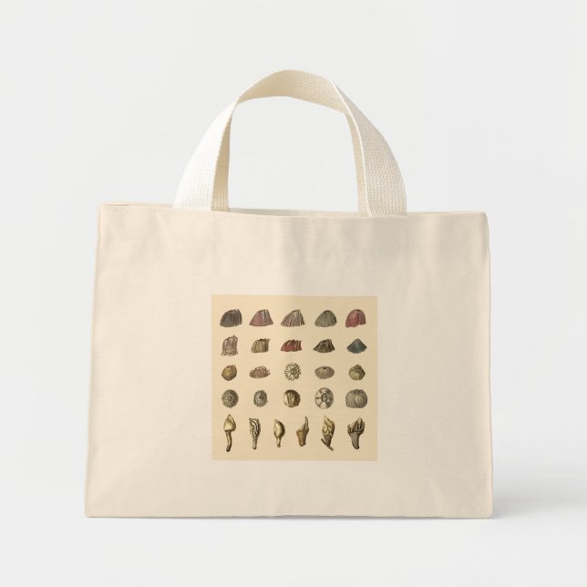 Bolsa Tote Mini Belo Barnacle Tote Bag (Frente)