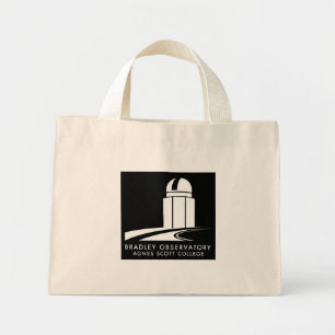 Bolsa Tote Mini Bradley Observatório Tote Bag