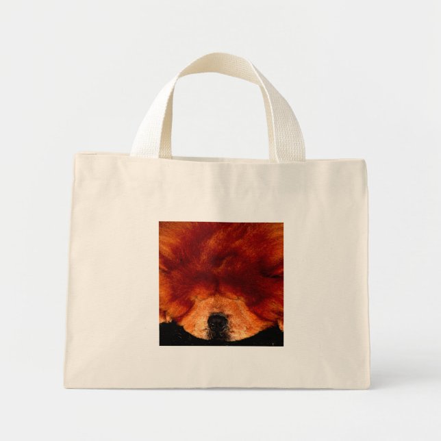 Bolsa Tote Mini Chow Tcna Dormindo (Frente)