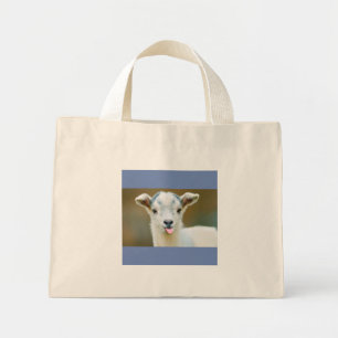 Bolsa Tote Mini Saco de carne