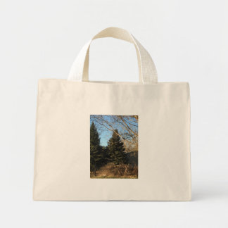Bolsa Tote Mini saco de primavera