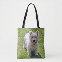 Montanhas ocidentais Terrier