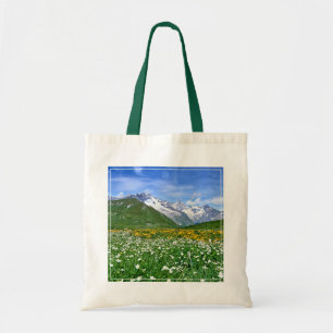 Bolsa Tote Mountains   Swiss Alps Valley Spring