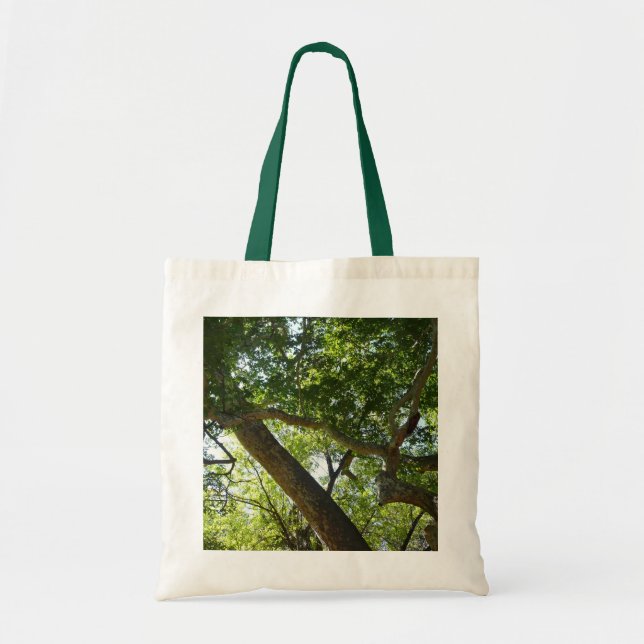 Bolsa Tote Natureza Verde da Árvore Sycamore (Frente)