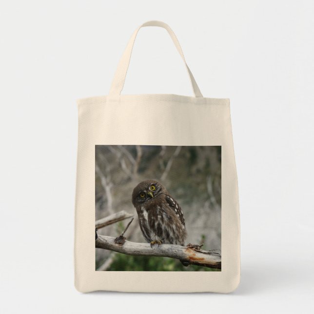 Bolsa Tote Norte Pygmy Owl Tote Bag (Frente)