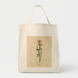 Bolsa Tote Norther Parula das Aves da América de Audubon