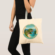 Nusa Penida Vintage Bali Praia Kelingking Viagem