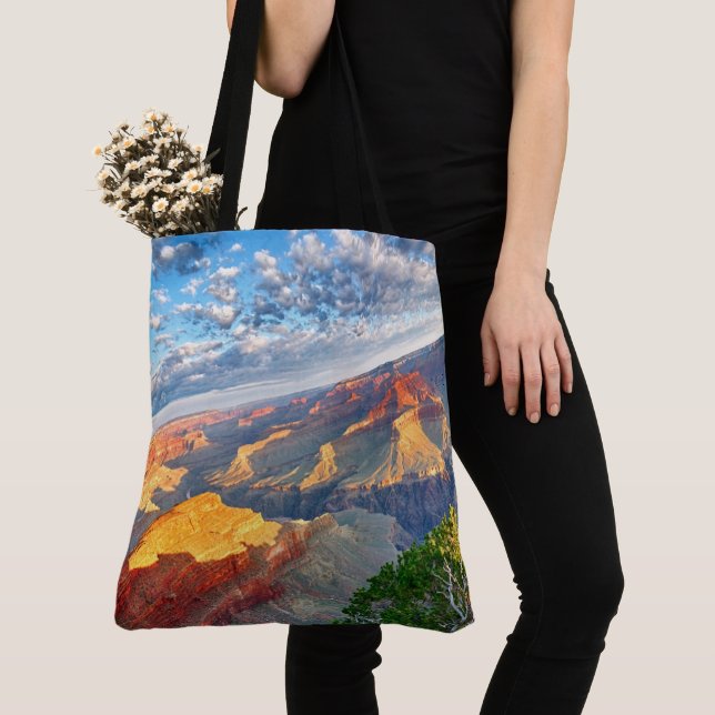 Bolsa Tote O Grand Canyon (Close Up)