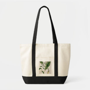 Bolsa Tote O Horseradish, chapeia 415 "de um erval curioso",