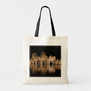 Bolsa Tote Orgulho de Leões Bebe no Buraco de Água à Noite