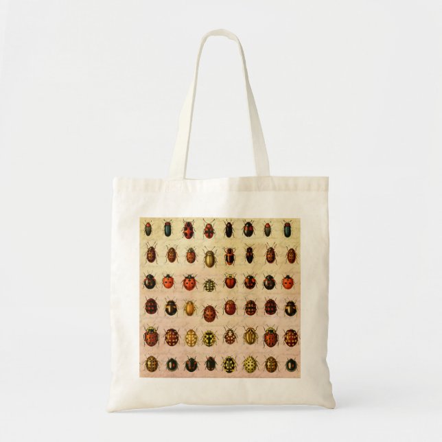 Bolsa Tote Padrão de Espécime de Joaninha Vintage Inseto Anti (Frente)