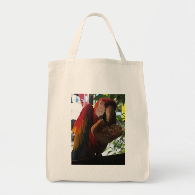 Bolsa Tote Papagaio-De-Maca-Escarlate Comendo Sorrada (Frente)