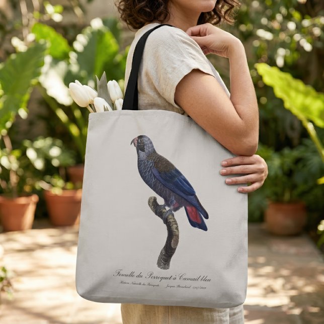 Bolsa Tote Papagaio-de-peito-roxo, Pionus fuscus (Dusky Parrot or Dusky Pionus, Pionus fuscus. Tote Bag)