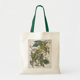 Bolsa Tote Parakeet de Carolina, dos "pássaros de América",