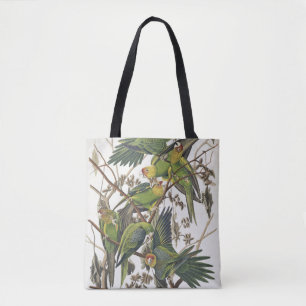 Bolsa Tote Parakeet de Carolina, dos "pássaros de América",